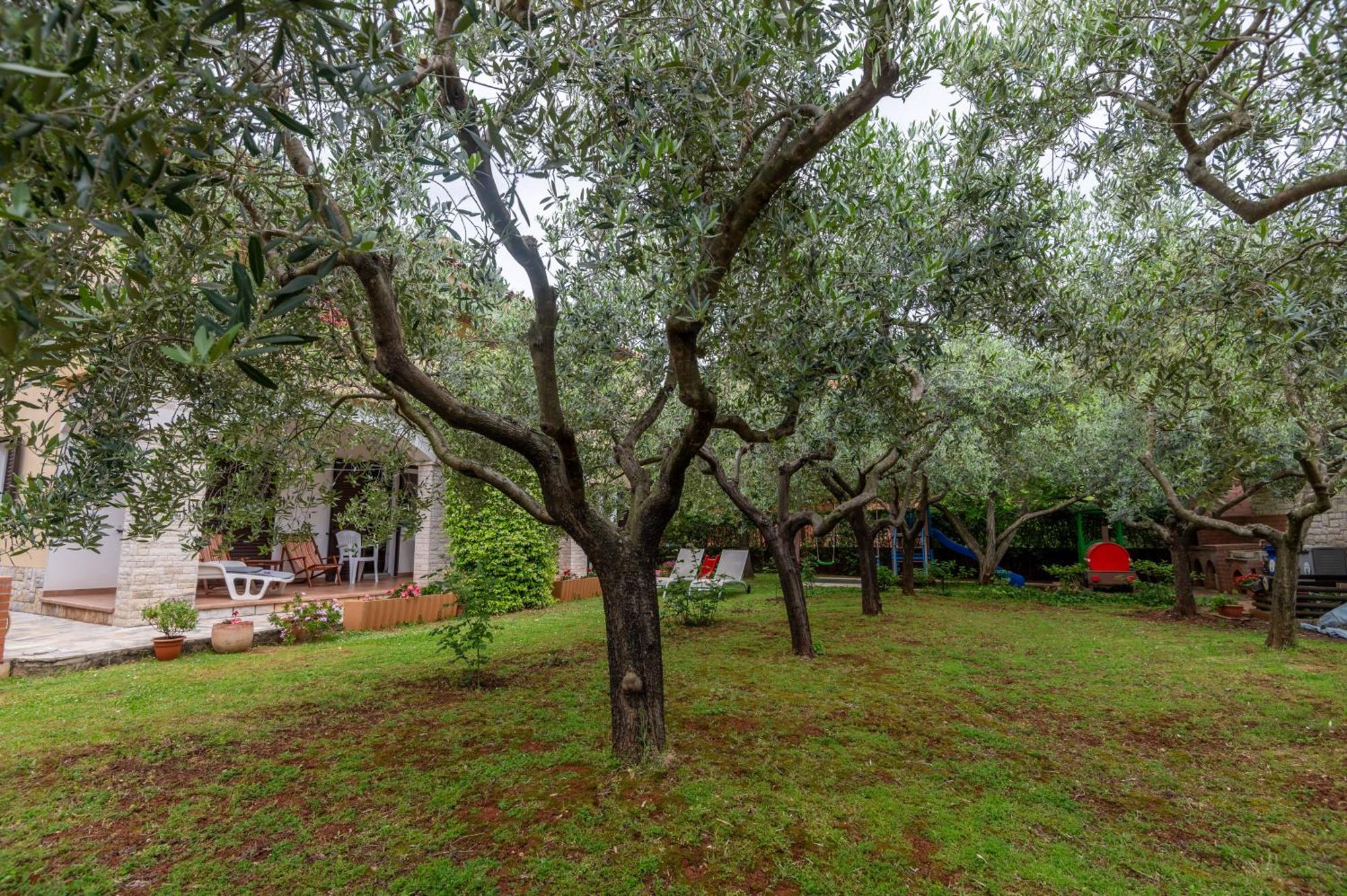 Apartments Mirella Novigrad Istria 외부 사진